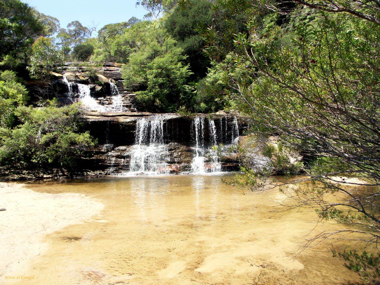 D 124 Blue Mountains