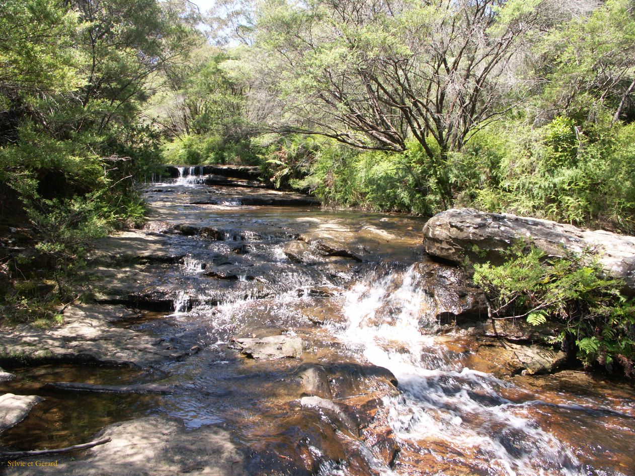 D 125 Blue Mountains