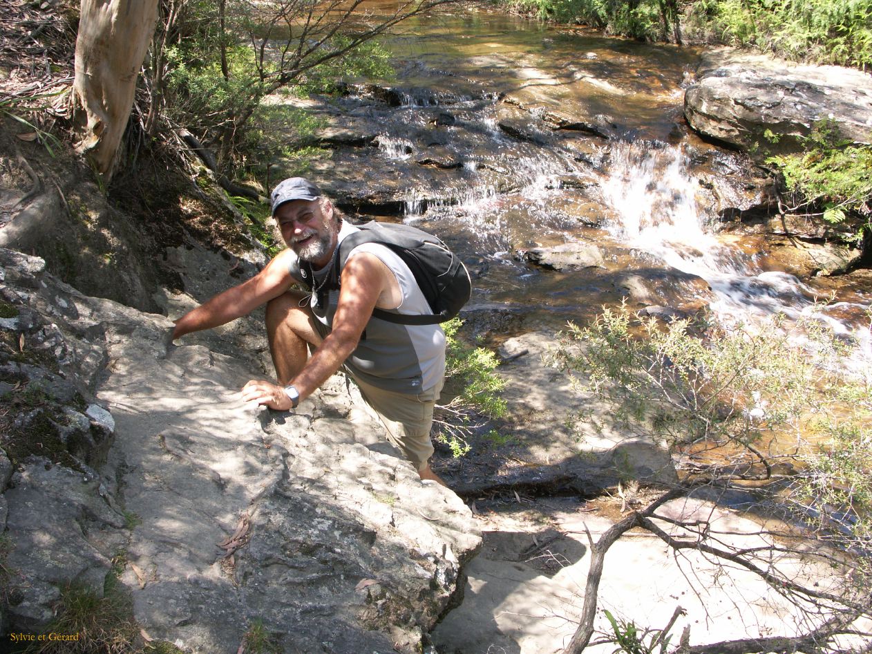 D 126 Blue Mountains