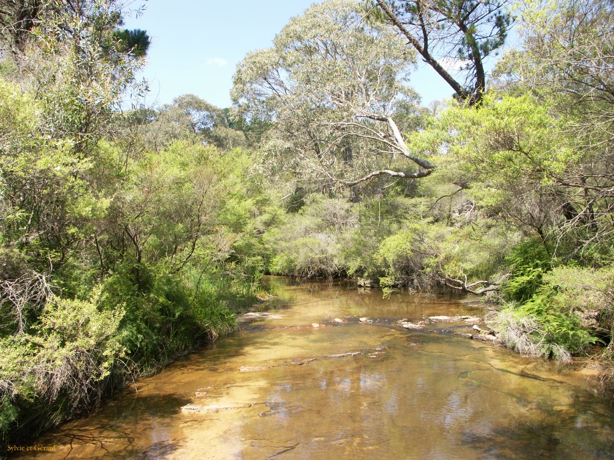 D 127 Blue Mountains