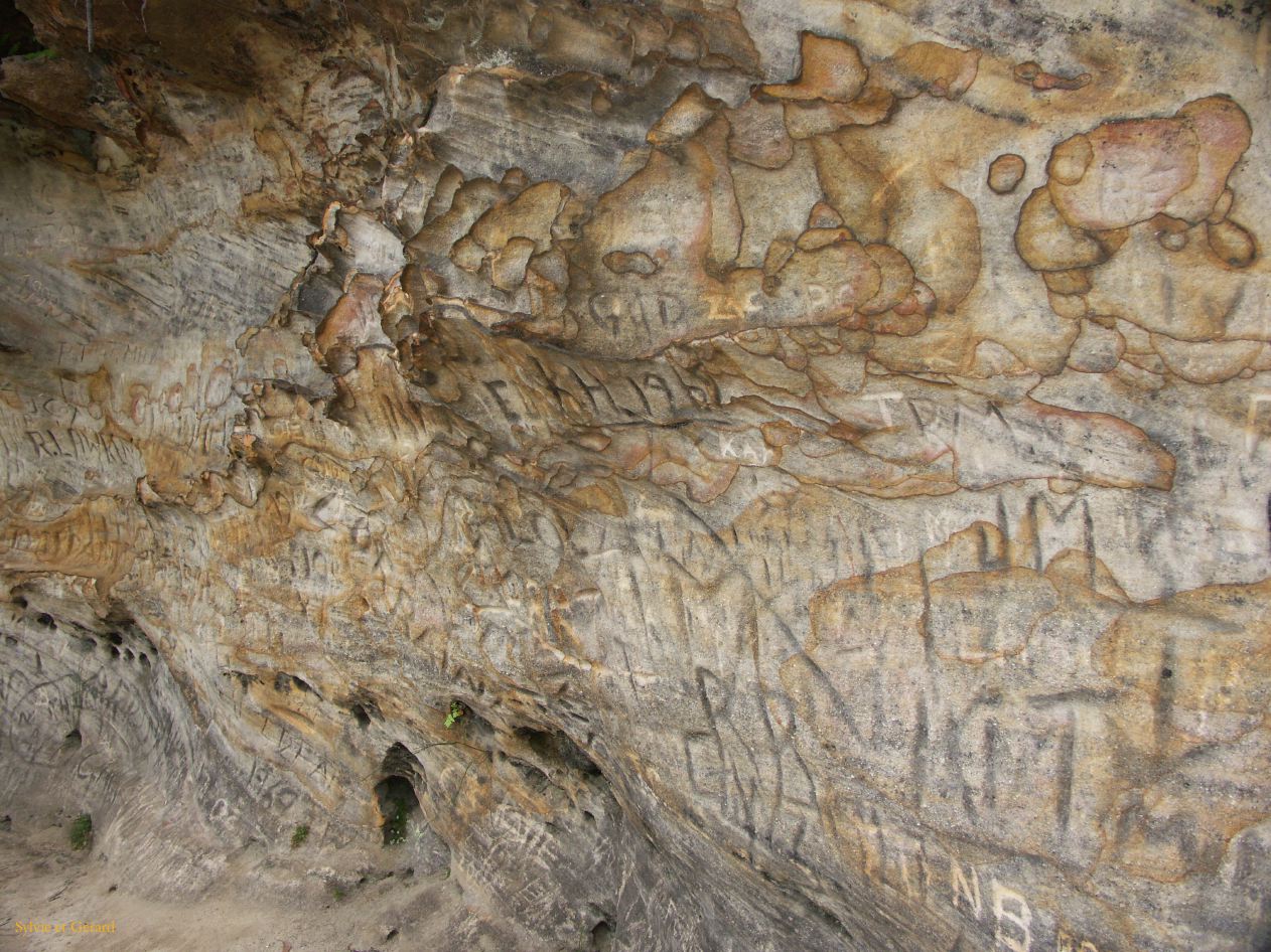 D 136 Blue Mountains