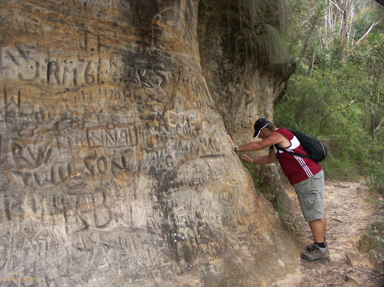 D 137 Blue Mountains