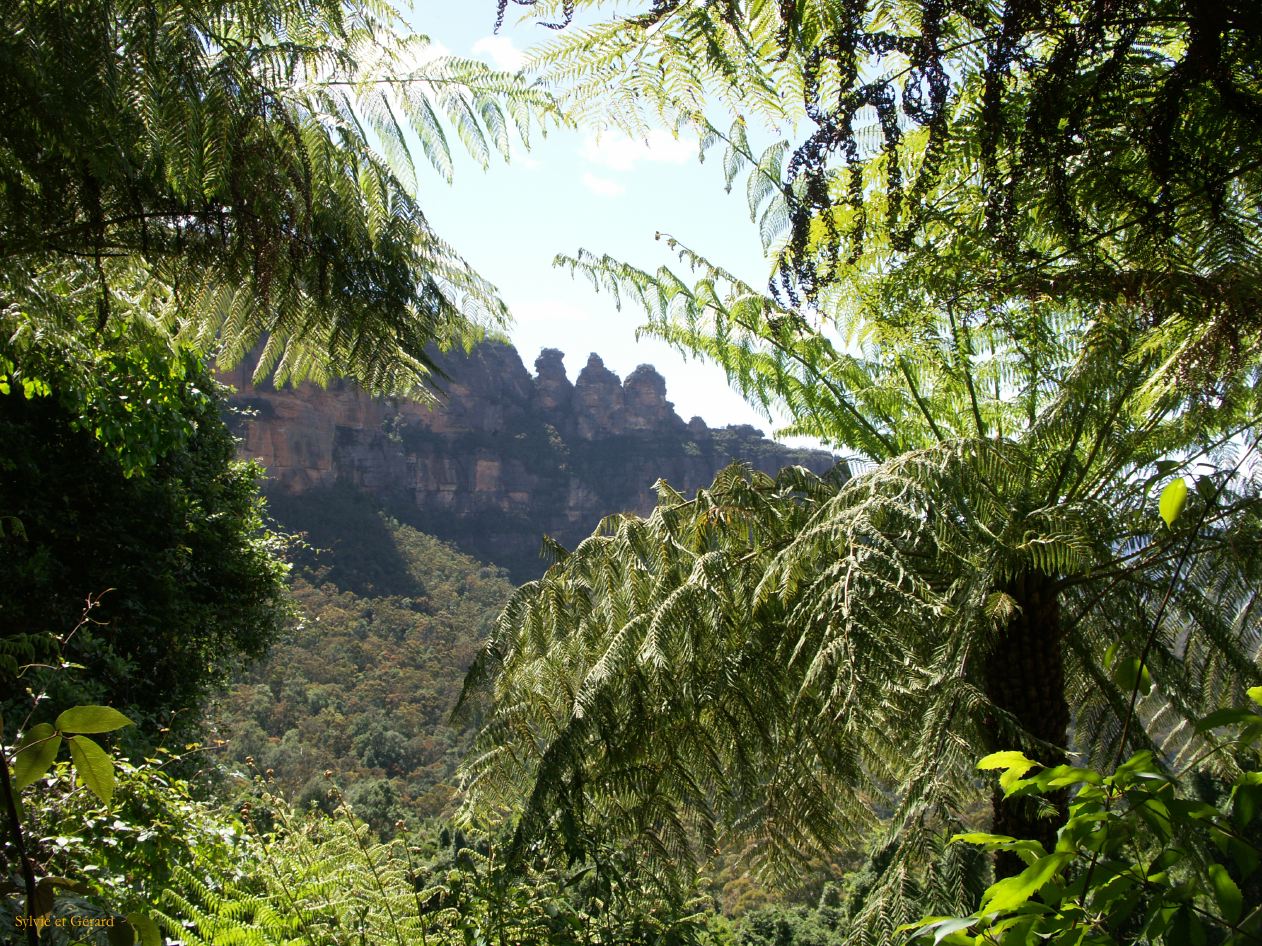 D 145 Blue Mountains