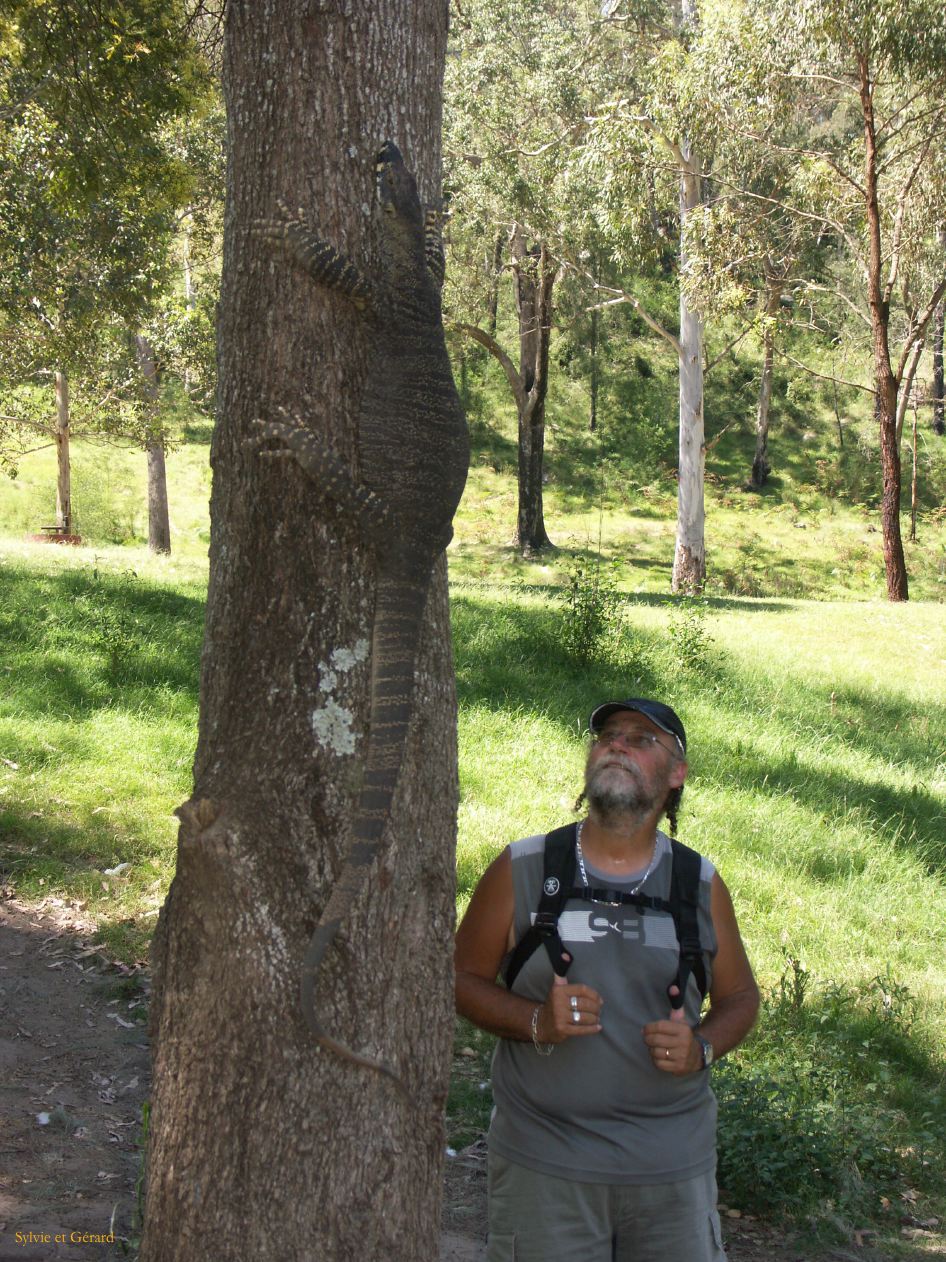 D 158 Blue Mountains