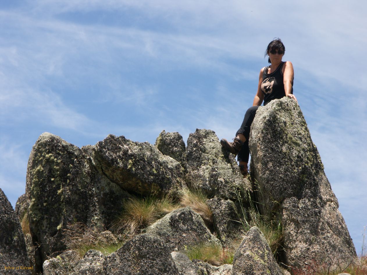 D 197 Kosciusko Park