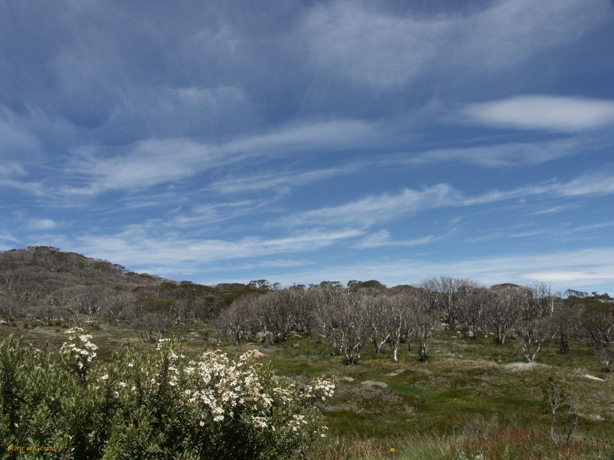 D 203  Kosciusko Park