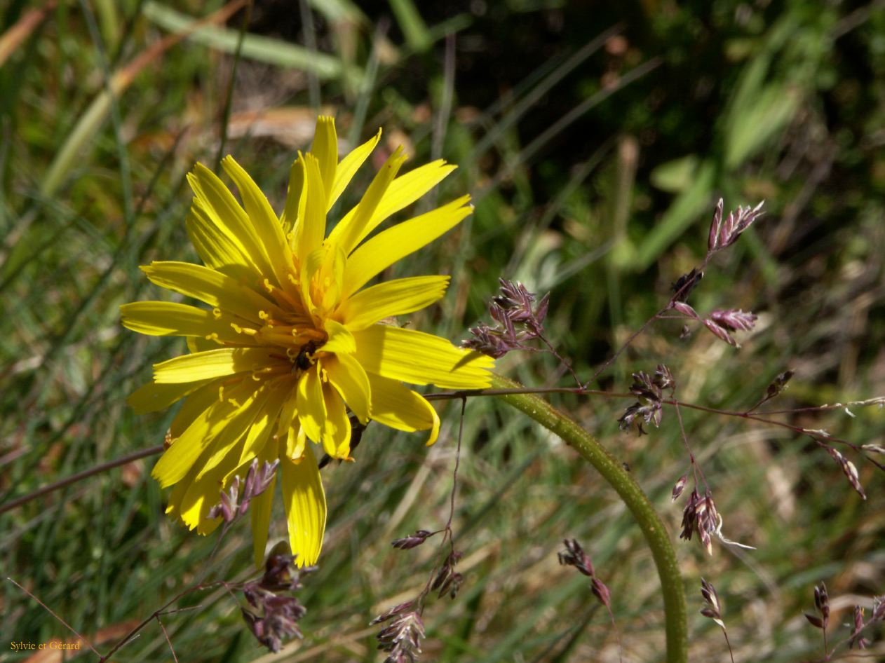 D 204  Kosciusko Park