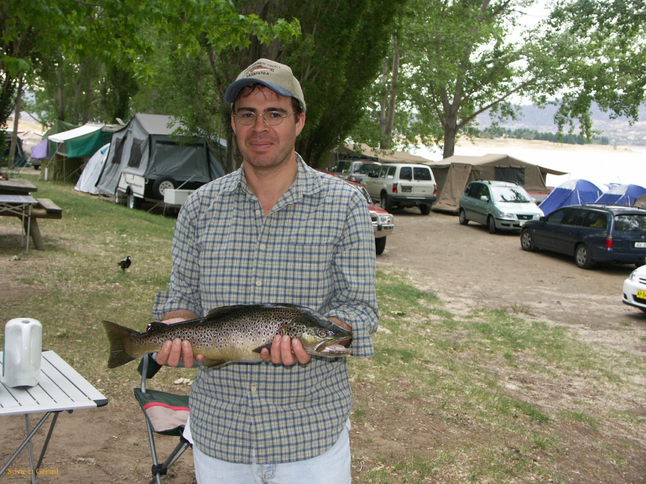 D 205  Kosciusko Park