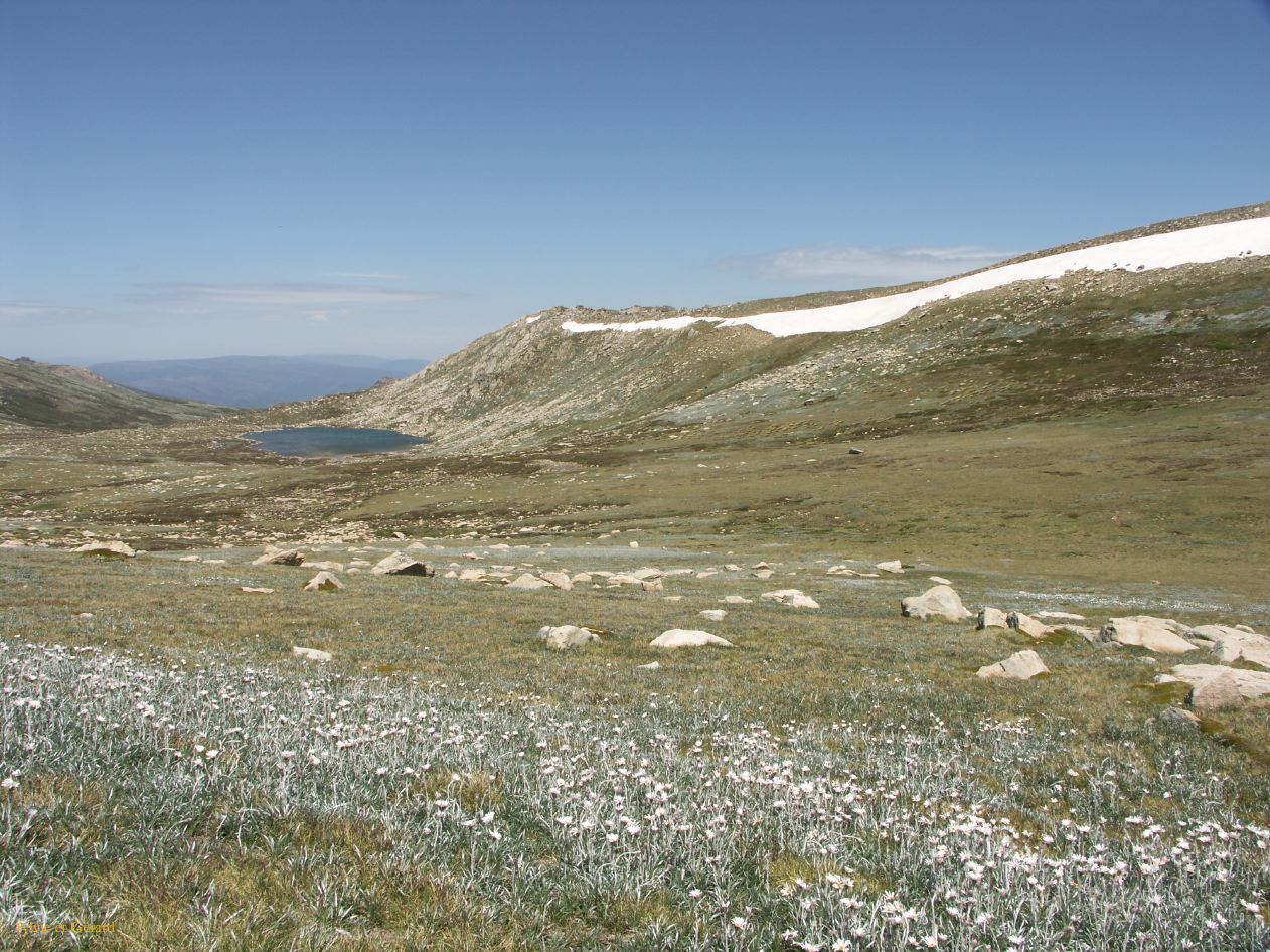 D 210  Kosciusko Park