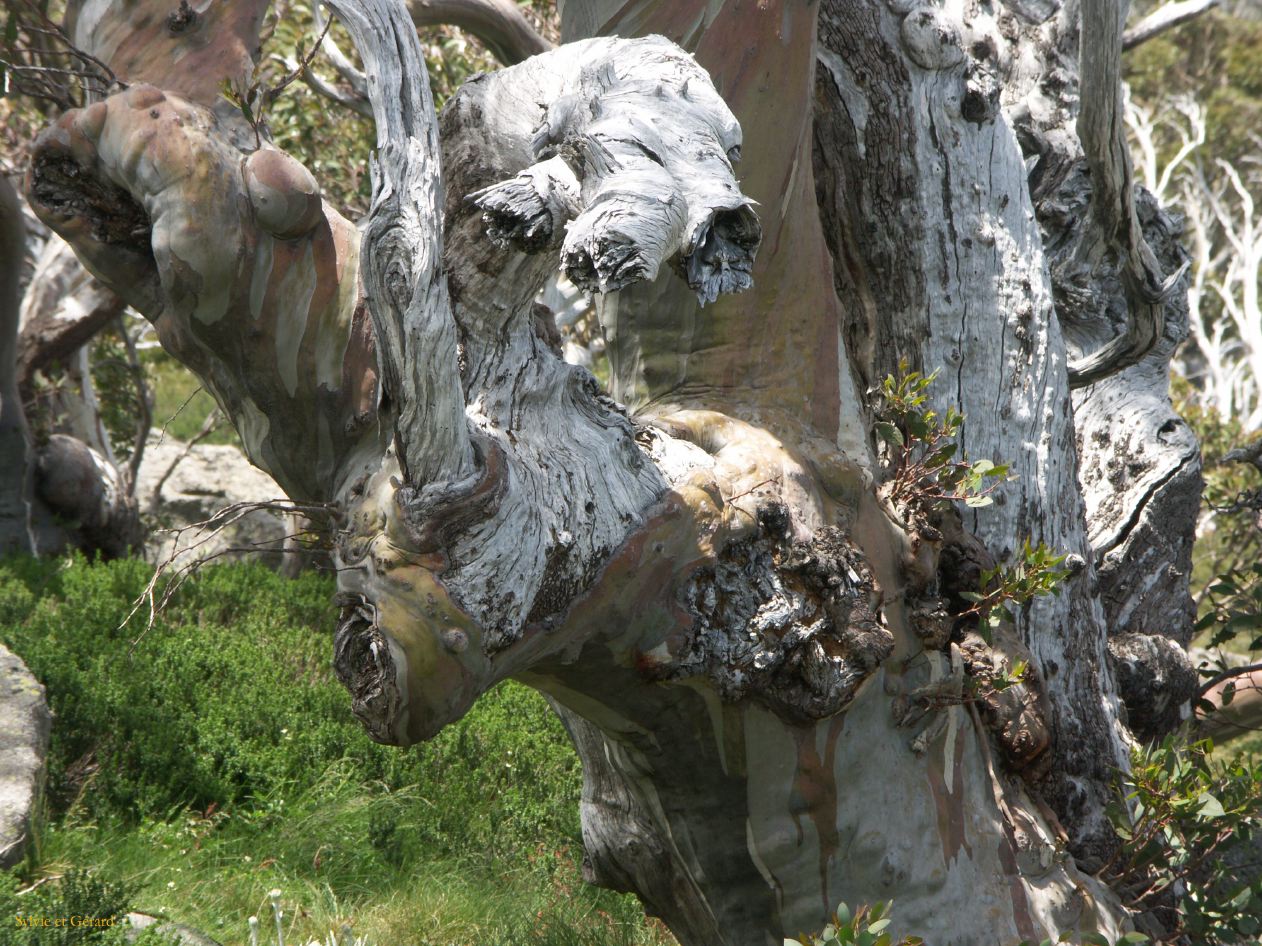 D 212  Kosciusko Park