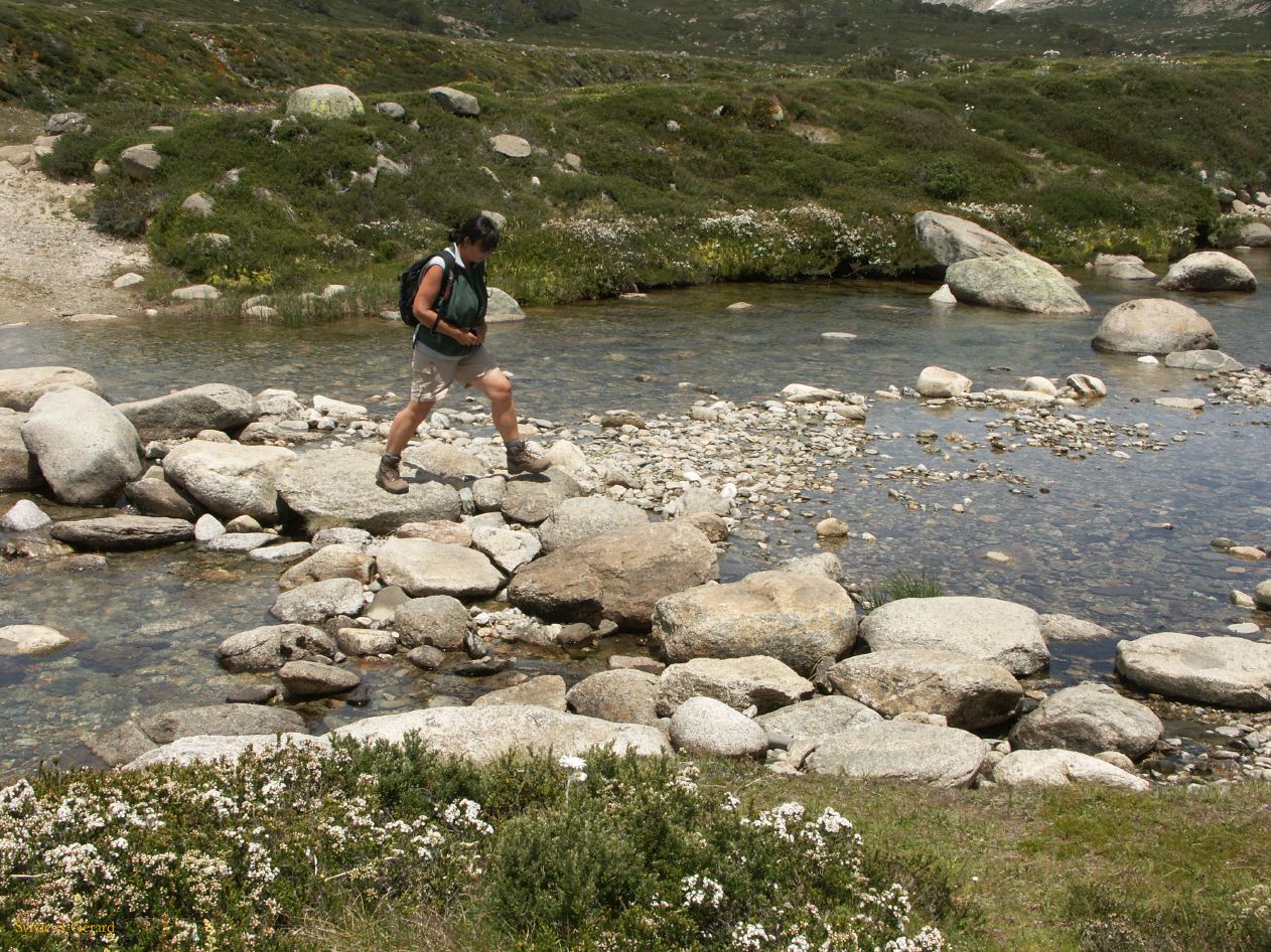 D 214  Kosciusko Park