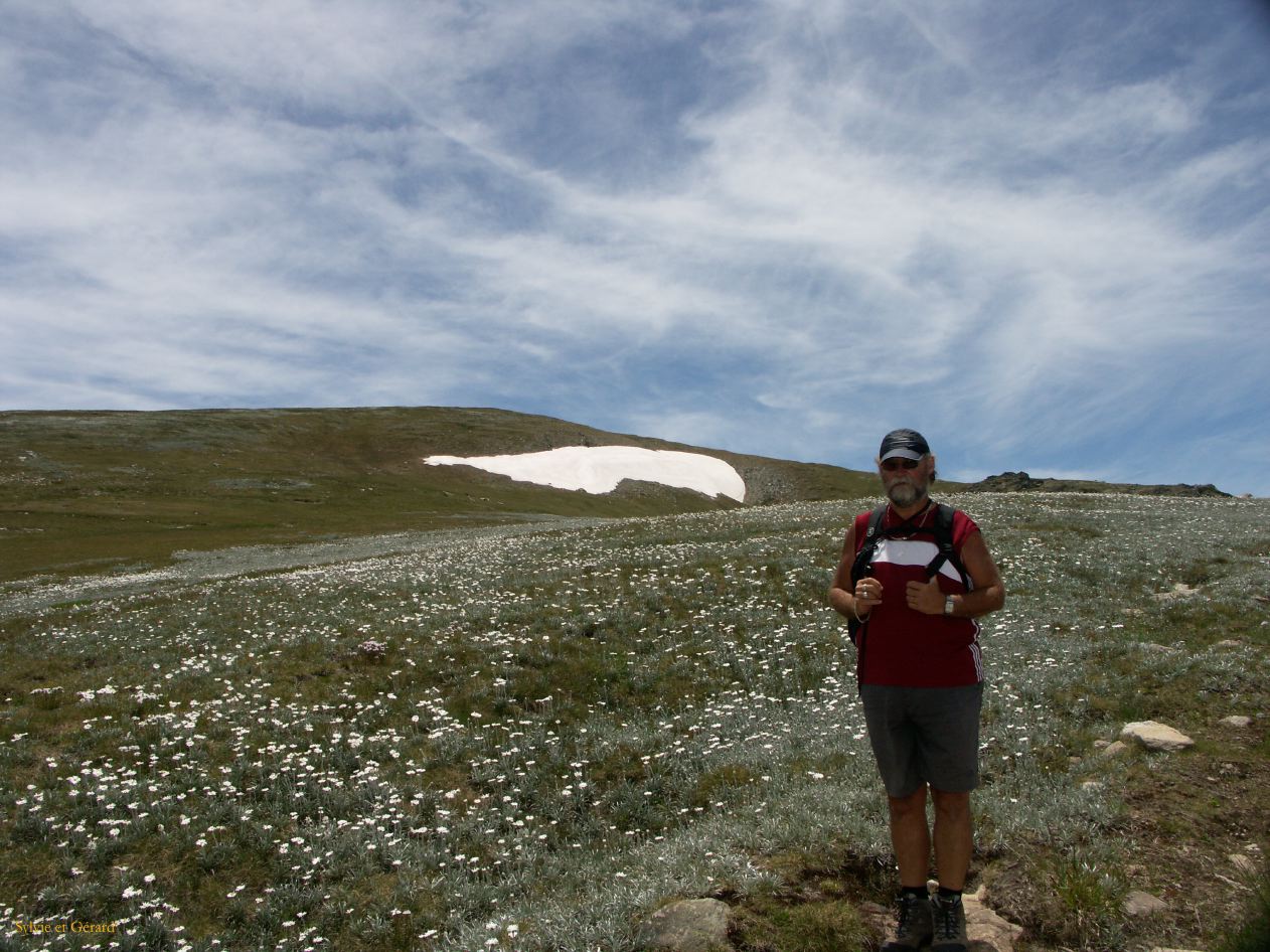 D 215  Kosciusko Park