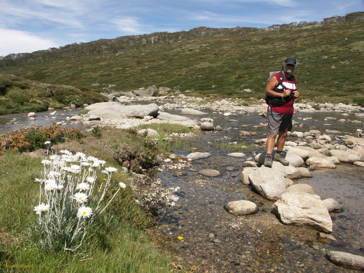 D 219  Kosciusko Park