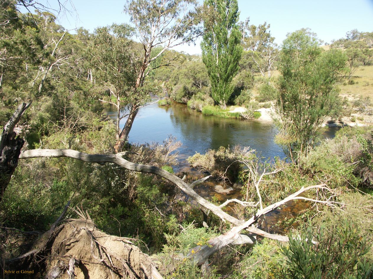 D 226  Kosciusko Park