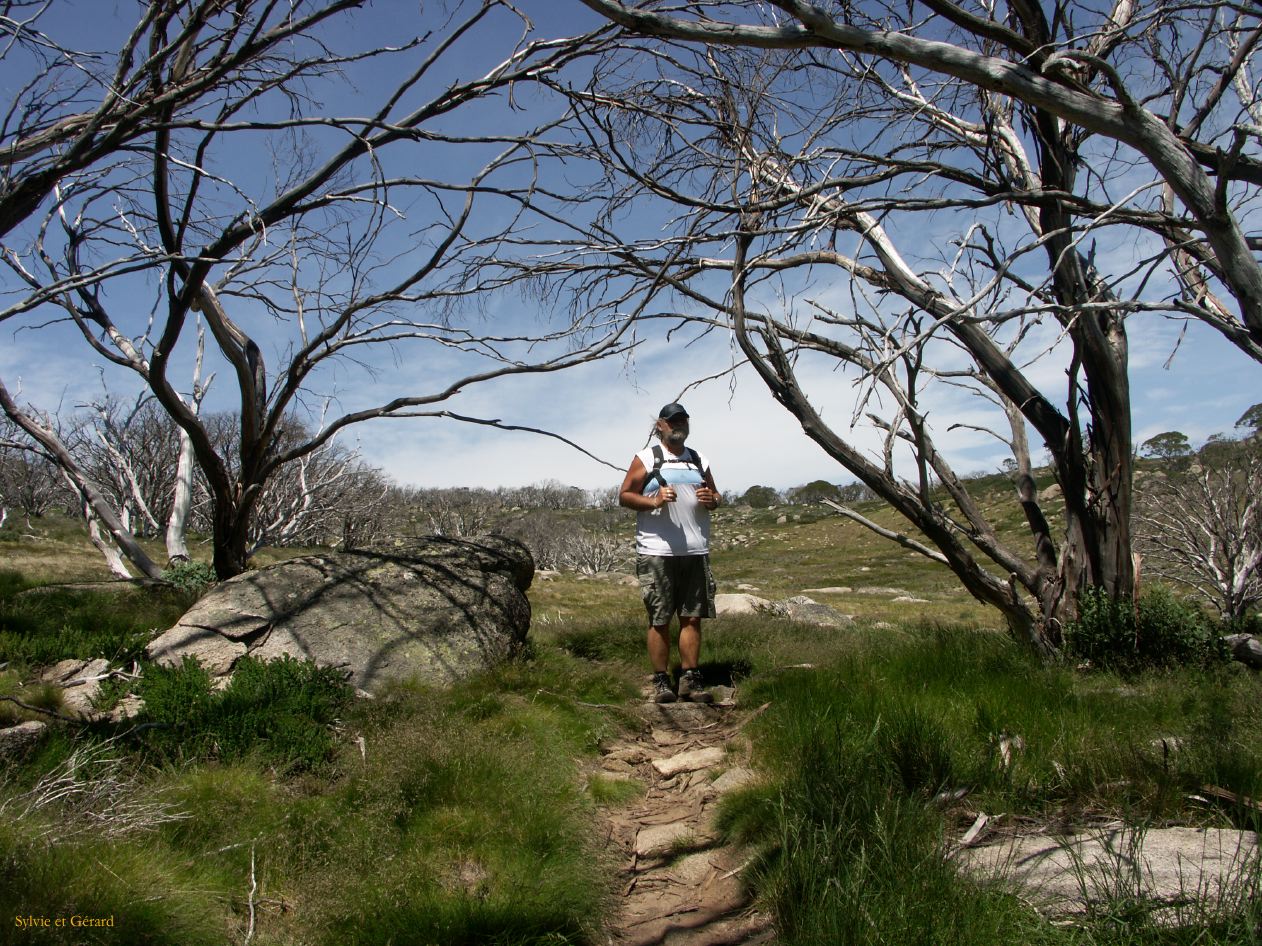 E 002 Kosciusko Park