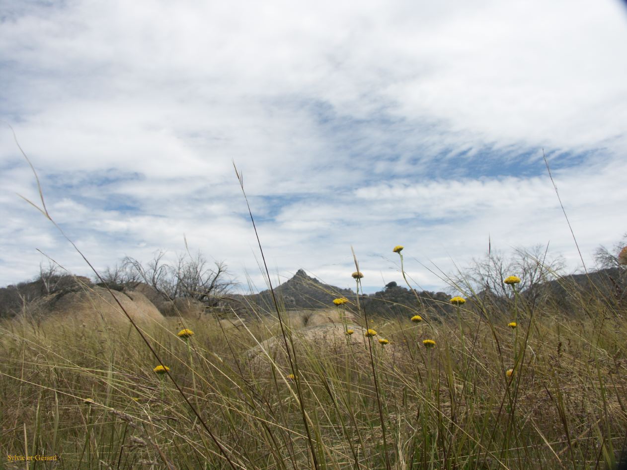 E 018 Alpine National Park