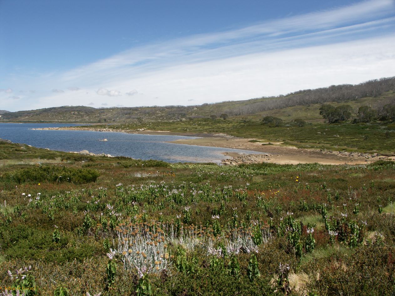 E 025 Alpine National Park