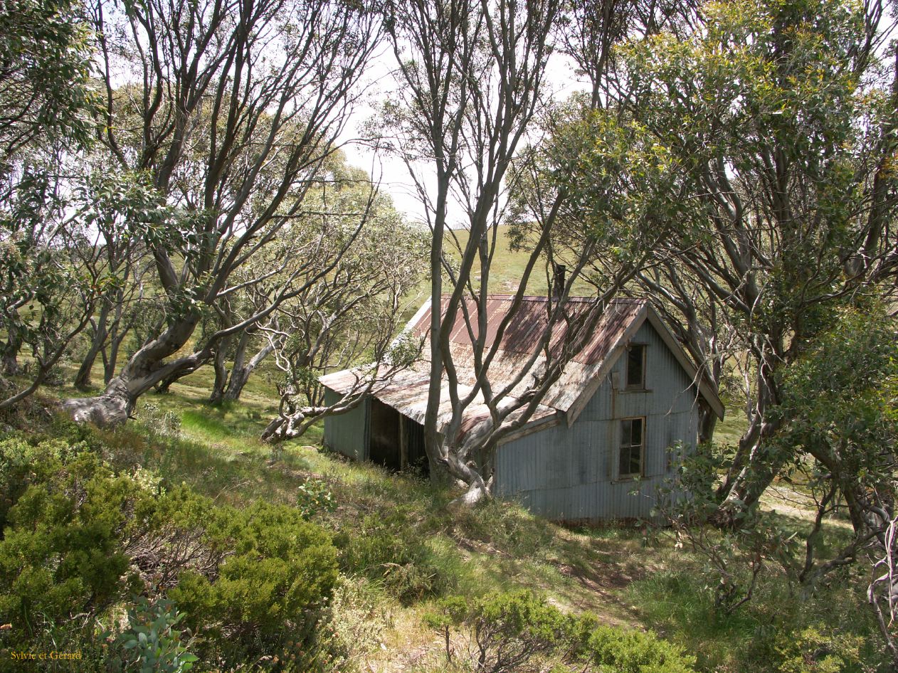 E 029 Alpine National Park