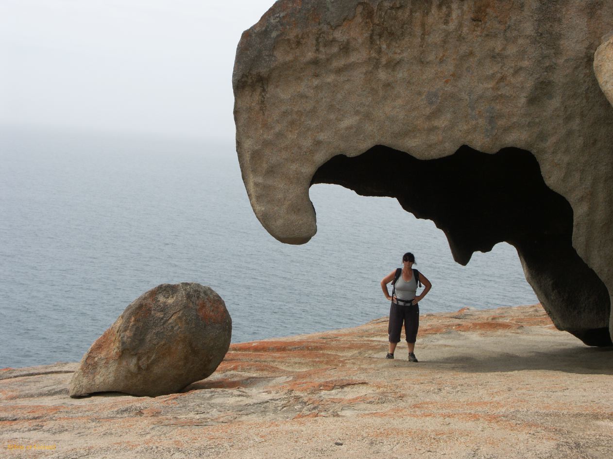 E 130 Kangouroo Island