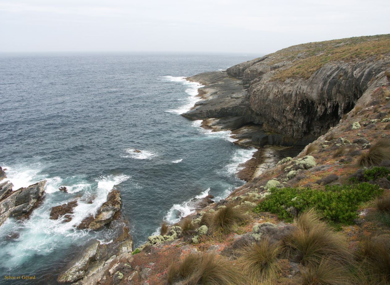 E 133 Kangouroo Island