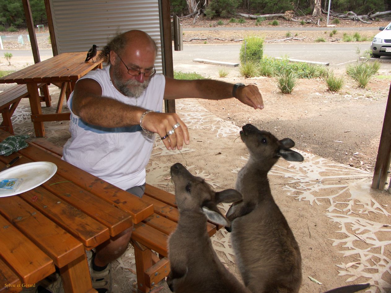 E 138 Kangouroo Island