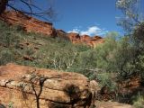 B 202 Kings Canyon