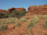 B 203 Kings Canyon