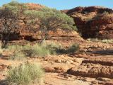 B 204 Kings Canyon
