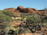 B 207 Kings Canyon
