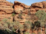 B 210 Kings Canyon
