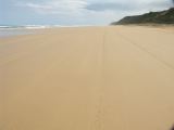 C 205 Fraser Island