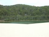 C 221 Fraser Island
