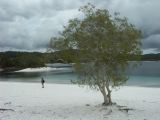 C 224 Fraser Island