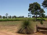 Winerie Woody Nook Margaret River