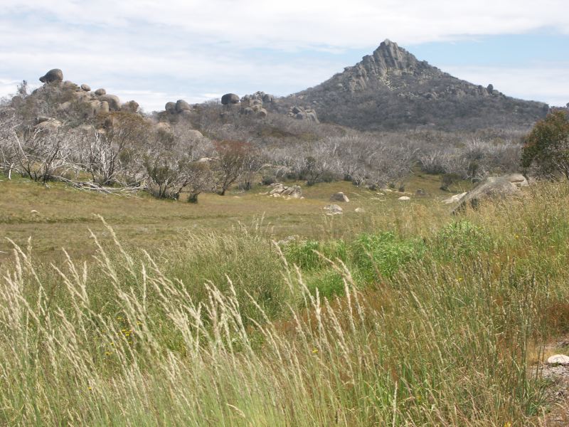 Mount Buffalo National Park