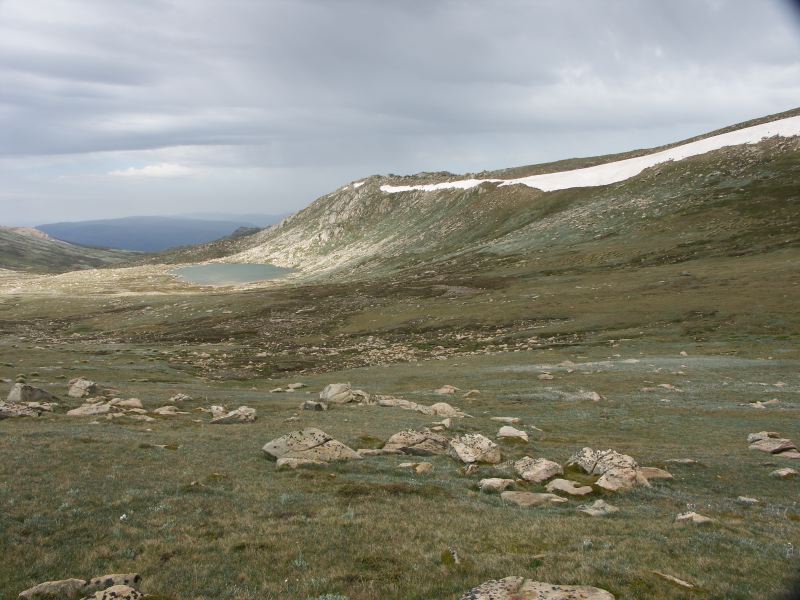 Kosciuszko national park