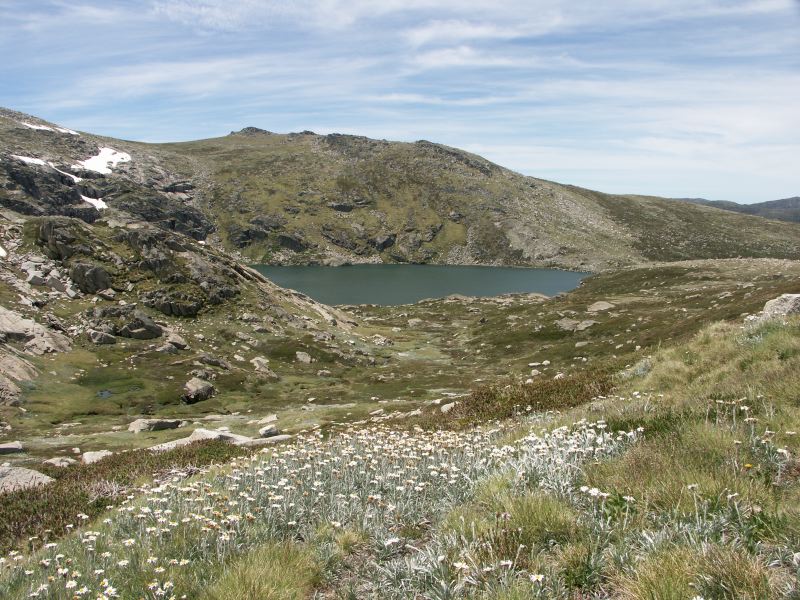 Kosciuszko national park