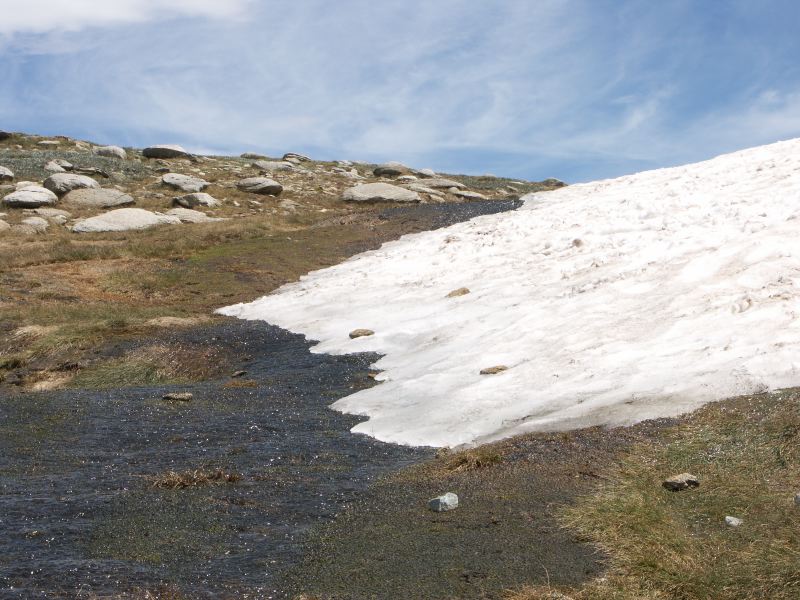 Kosciuszko national park