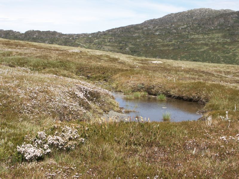 Kosciuszko national park