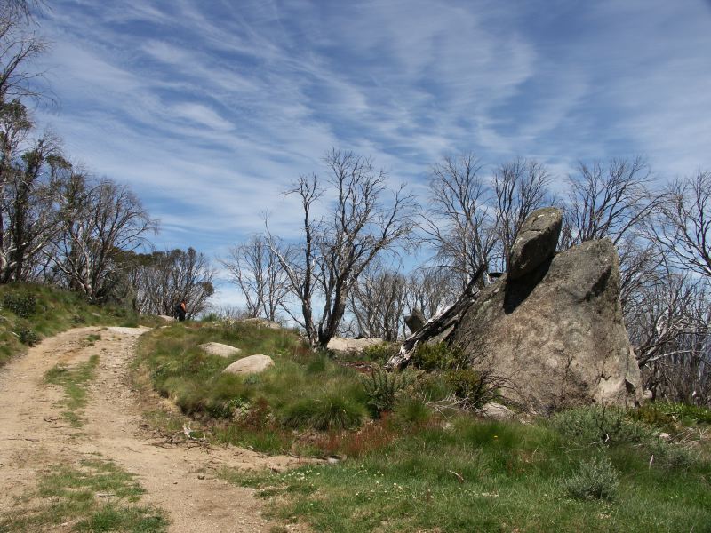 Kosciuszko national park
