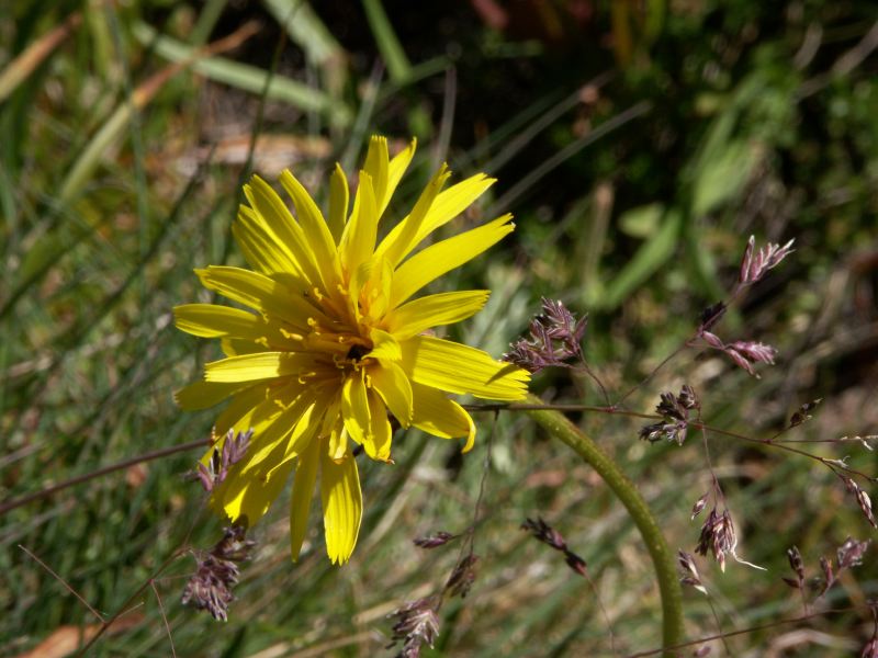 Kosciuszko national park