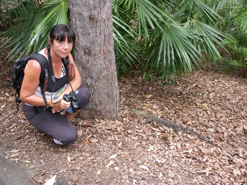 Brisbane botanic garden