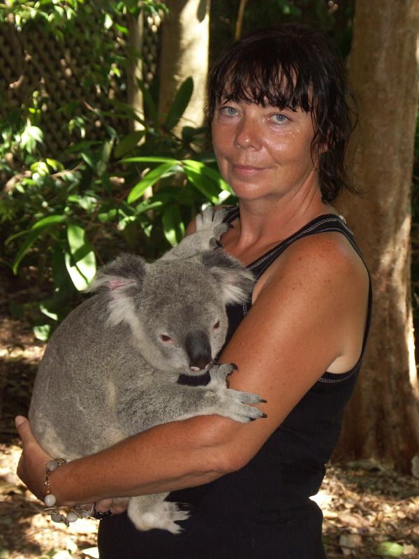 Koalas Lone Pine Park
