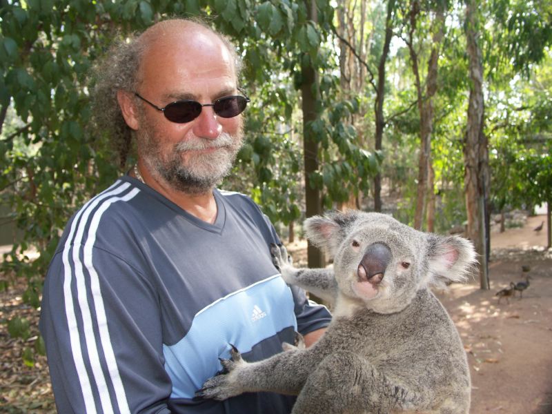 Billabong Sanctuary koala