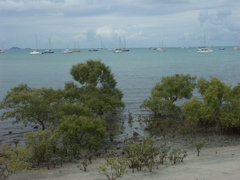 Airlie Beach