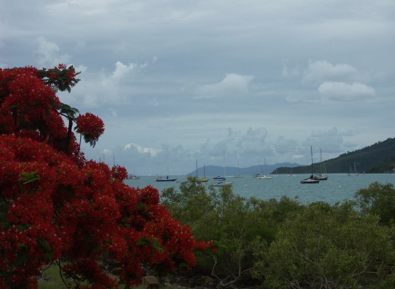 Airlie Beach