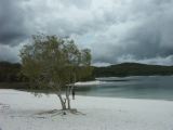 Fraser Island