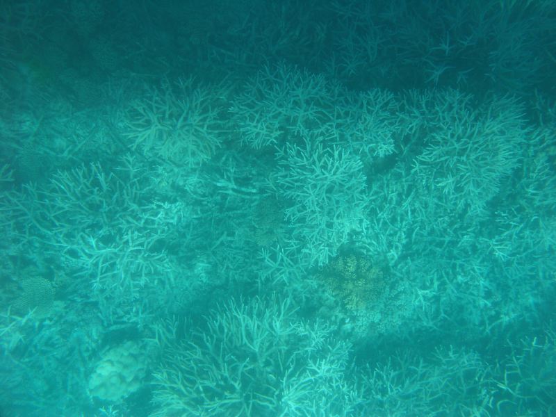 Cairns Grande Barriere de Corail