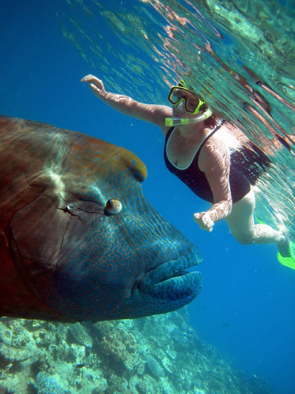 Cairns Grande Barriere de Corail