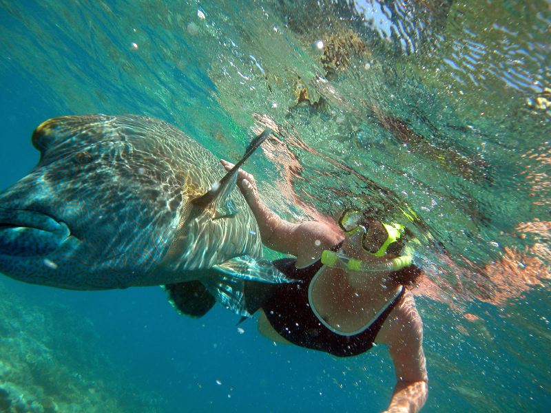 Cairns Grande Barriere de Corail